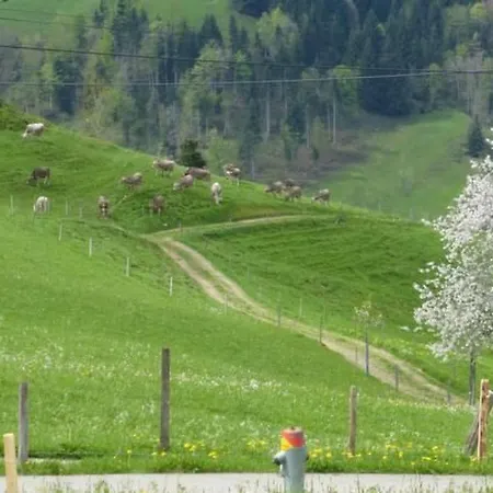 Ferienhof-barenegg By Interhome *