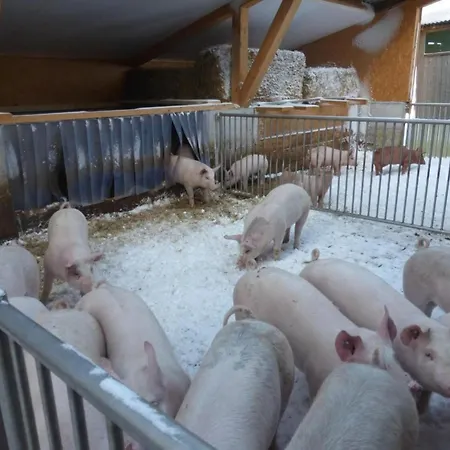 Ferienhof-barenegg By Interhome Apartment *