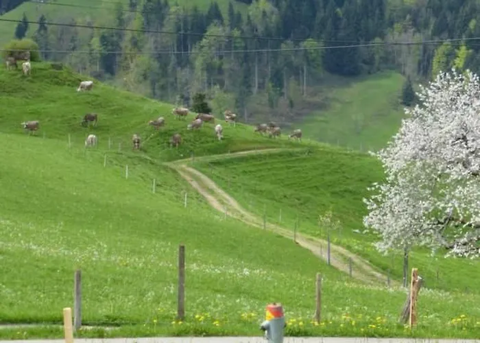 Ferienhof-barenegg By Interhome *