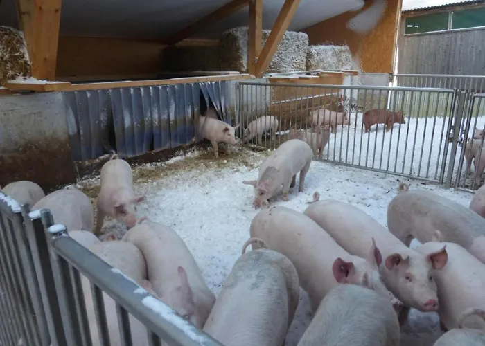 Ferienhof-barenegg By Interhome شقة *