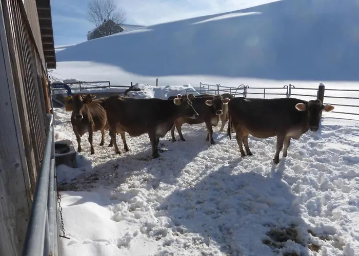 Ferienhof-barenegg By Interhome * Hemberg