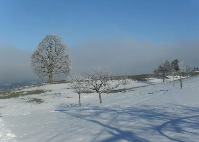 Daire Ferienhof-barenegg By Interhome